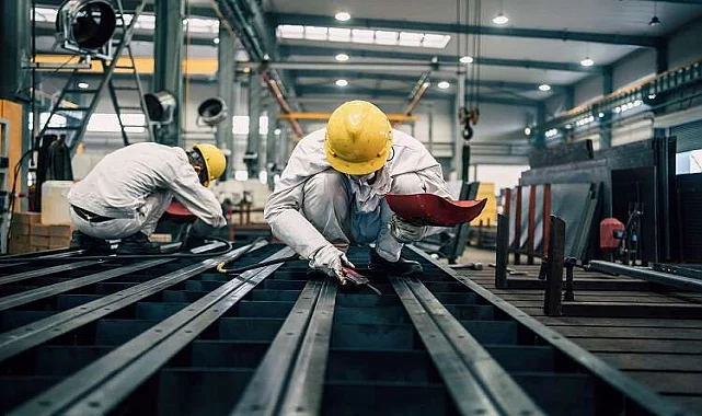 Bayraklı Kokusuz İlaçlama